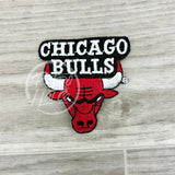 Vintage 90S Chicago Bulls Logo Patch